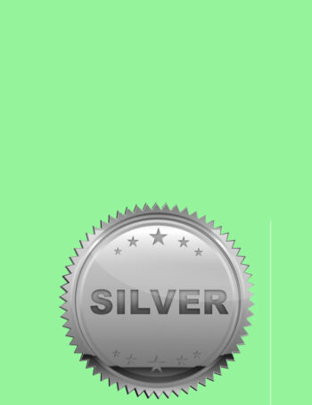 Gümüş Eşya Alanlar